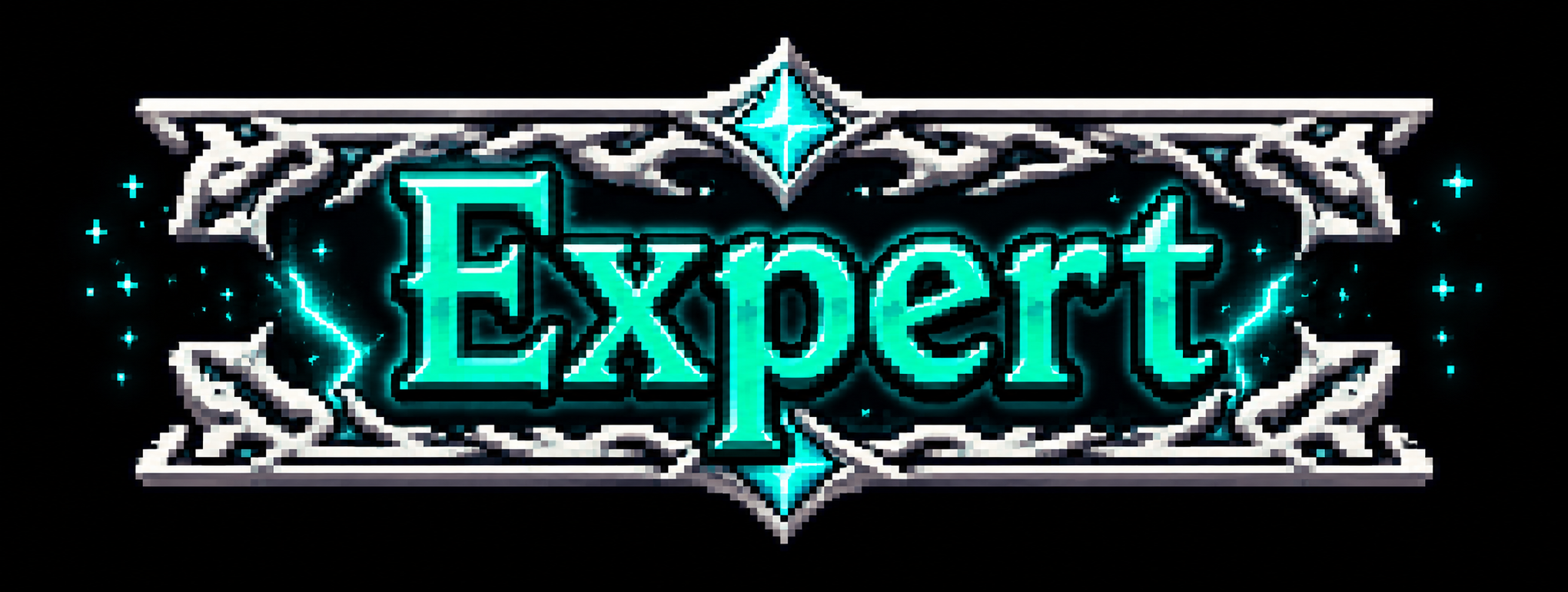 Expert